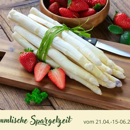 Zur Bergstrasse Hotel